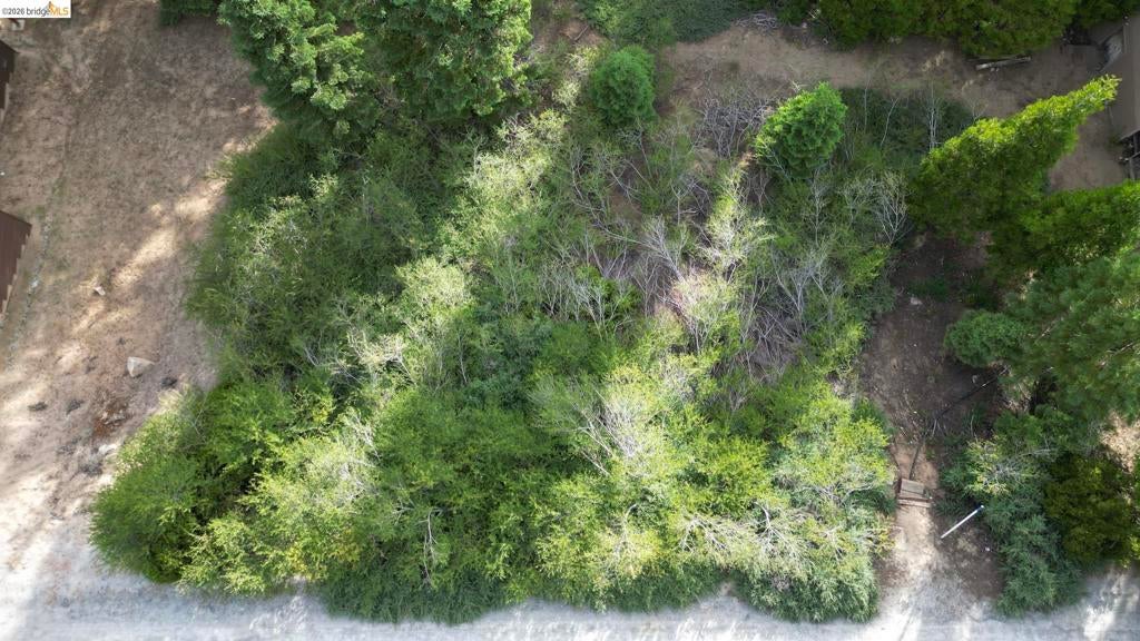 33826 Upper Leland Rd