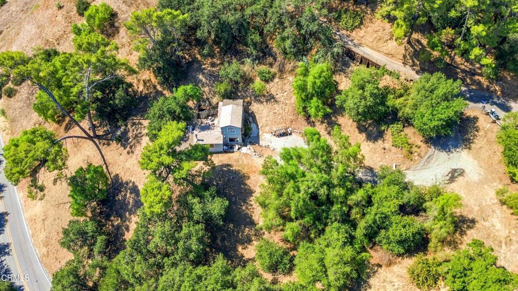 12211 Forest Trail