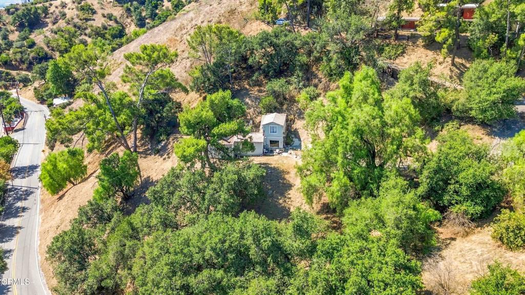 12211 Forest Trail