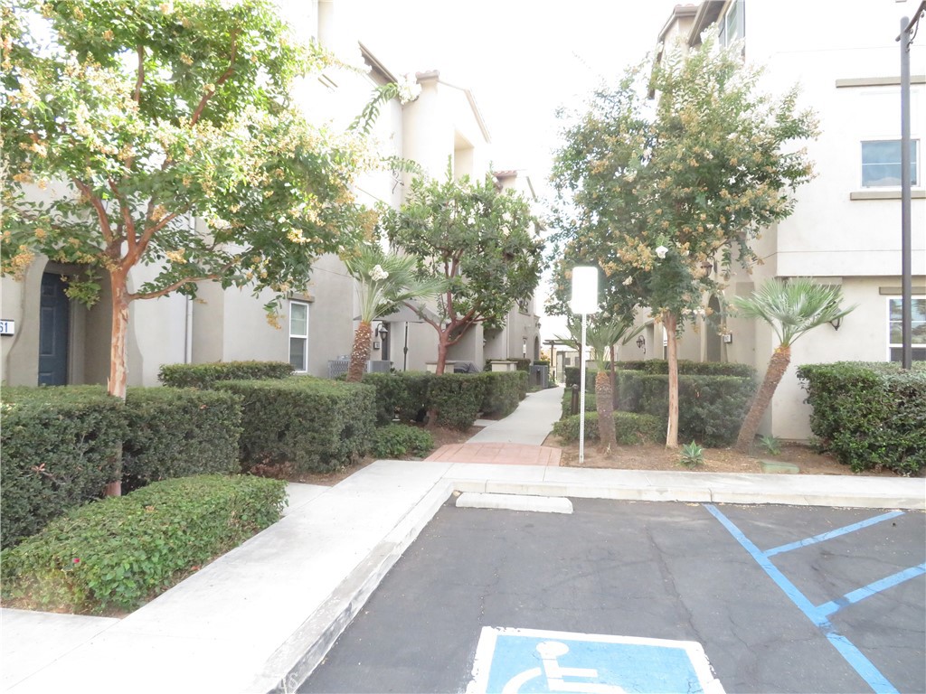 965 Acacia Lane