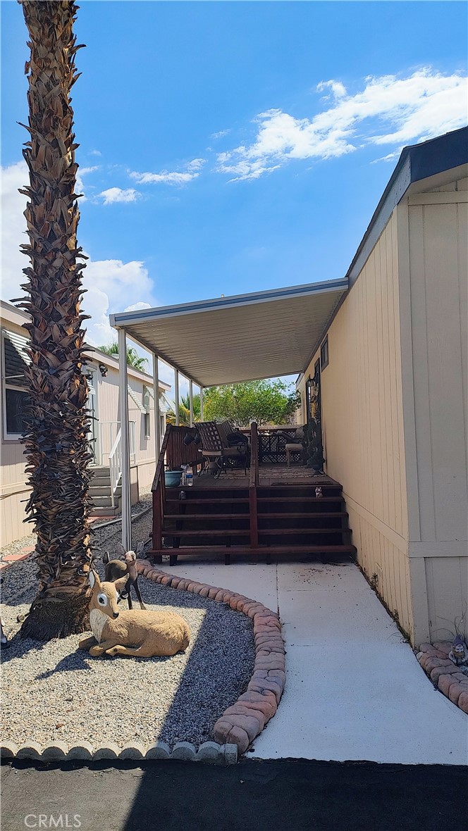 Corkill Palms - Manufactured In Park