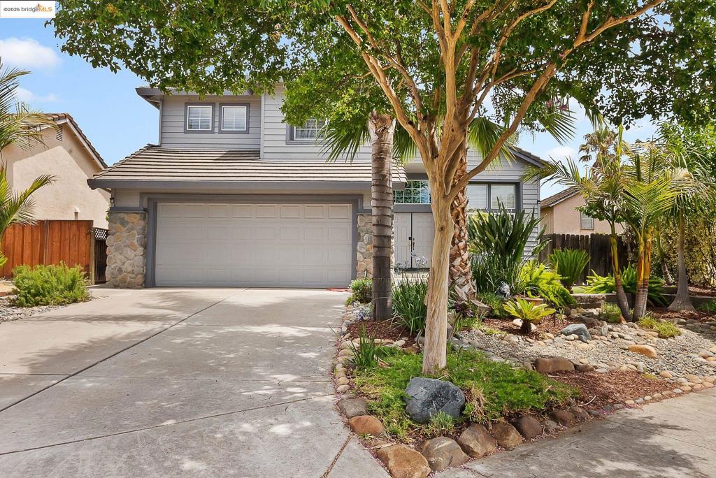 Welcome to Brentwood. Tucked at the end of a peaceful court, this 4-bedroom, 2.5-bath beauty brings the vacation vibes home. Just in time for summer. From the moment you step inside, the rich engineered wood floors flow throughout, creating warmth and style in every room. Open kitchen concept that leads into the family room. Outside, it's pure paradise—tropical landscaping surrounds a sparkling pool that’s just waiting for your next cannonball or sunset cocktail. No HOA means more freedom, and side yard access gives you space for your toys, tools, or weekend projects. With parks, shopping, and Highway 4 just minutes away, you'll love how easy life feels here. This isn’t just a house—it’s your personal escape in the heart of everything. (matterport link). https://portal.montram.com/order-dashboard/OhcGWCPxXpSZhYlPMKof/delivery