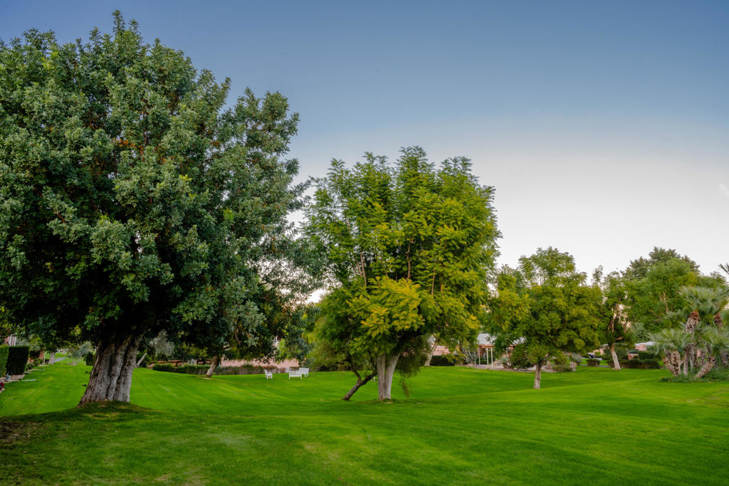 Marrakesh Country Cl - Residential