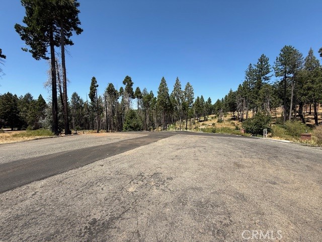 Beautiful recently cleared lot on a private court with a view of mature trees and wildlife. The lot had a 2 bedroom 2 1/2 bath 1700 square foot home prior to the Camp Fire of 2018. The lot has mature trees and some lovely flowered bushes. The driveway is complete and updated a bit as PG&E has been working on underground placement of the power lines. Come bring your vision of a new home to life with this lovely location.