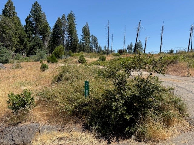 6195 Calvary Court