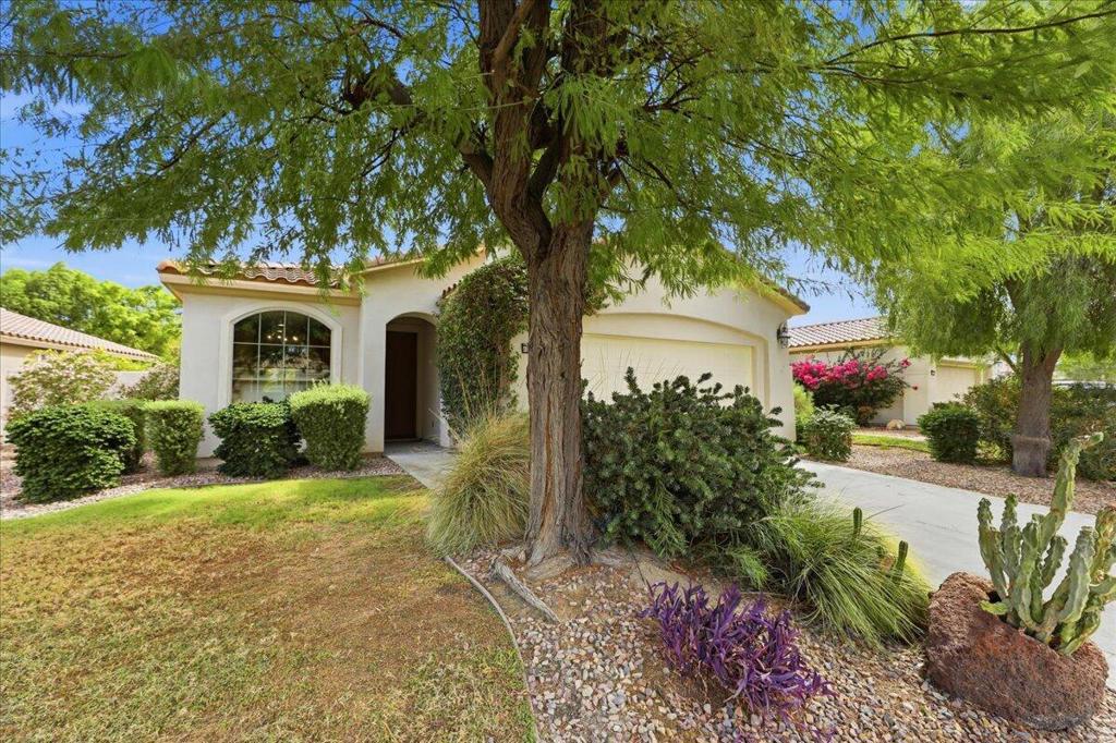 40896 Calle Santa Cruz