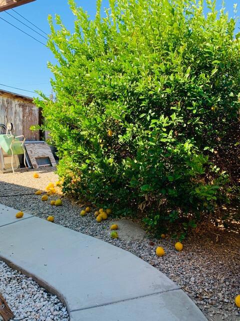 Not Applicable-1 - Residential