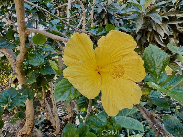 Park Bristol (PKBR) - Residential