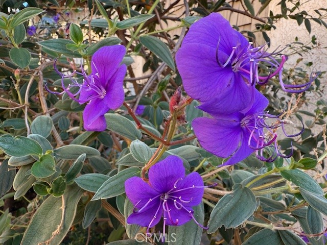 Park Bristol (PKBR) - Residential