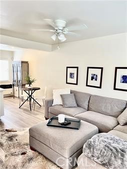 217 Cypress Street B