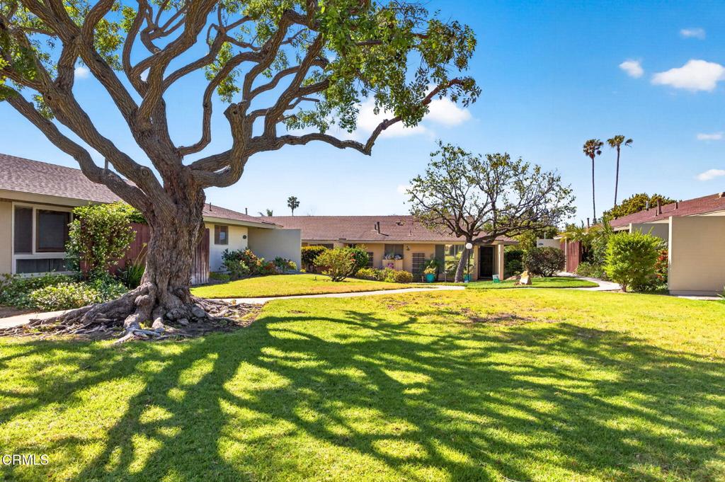 2219 Camilar Drive