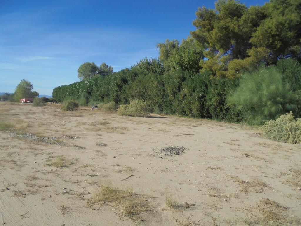 Not Applicable-1 - Land