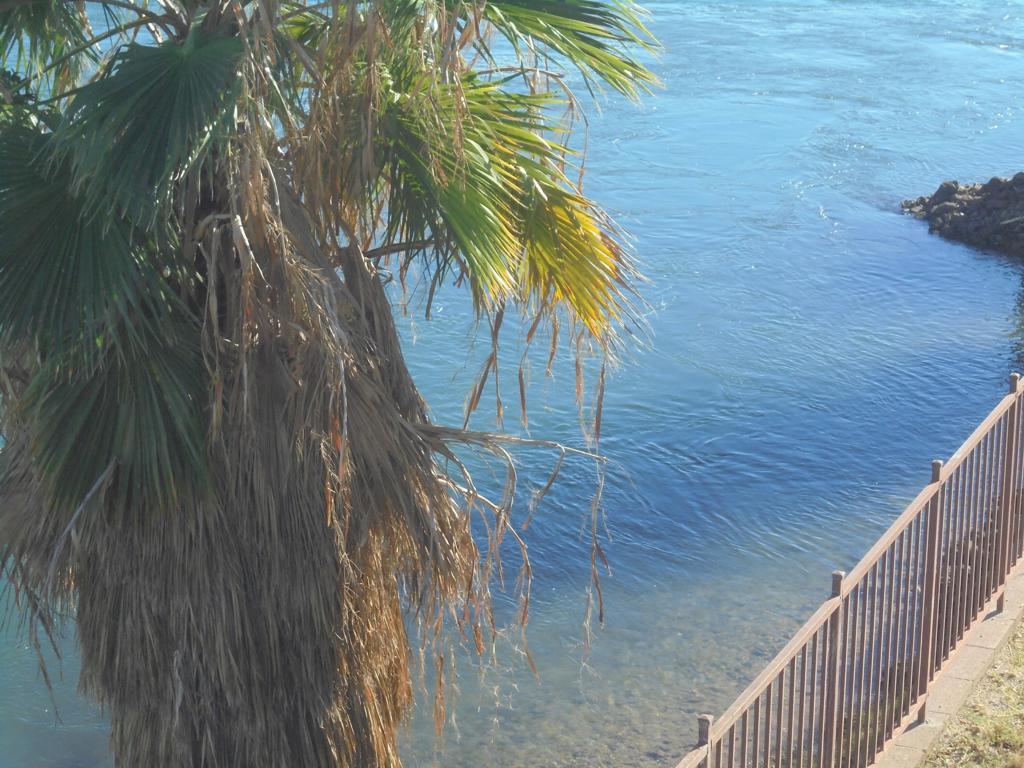 Not Applicable-1 - Land