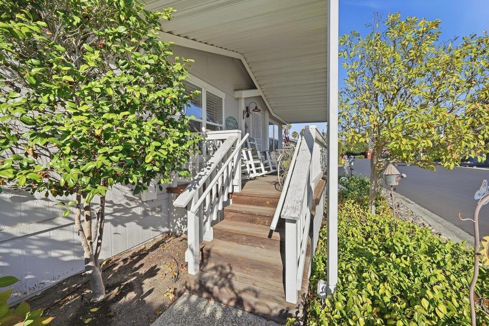138 Nut Tree 138