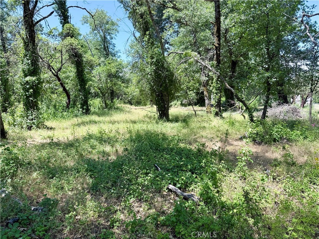 1343 Shady Lane