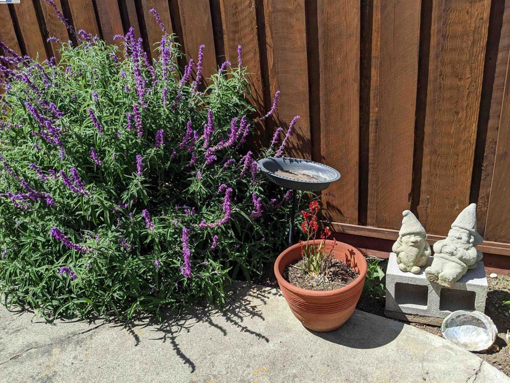 TOWN AND COUNTRY - Residential