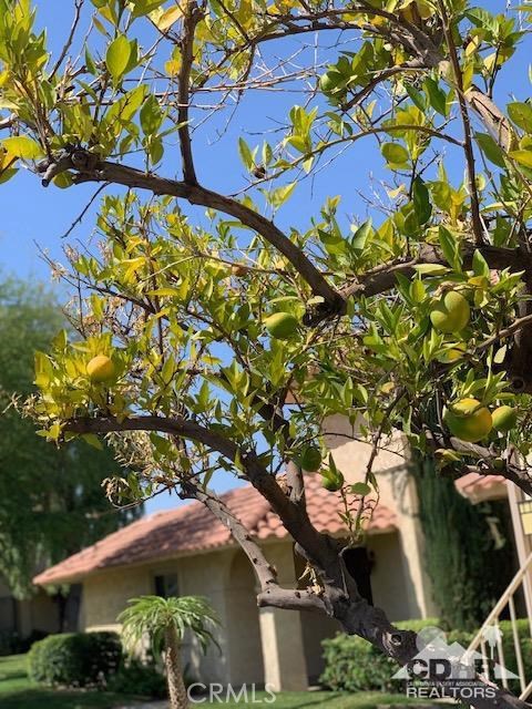 Deep Canyon Tennis C - Residential