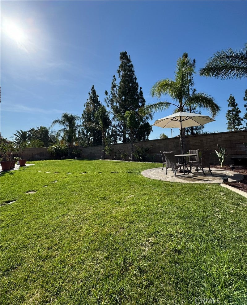 16425 Basswood