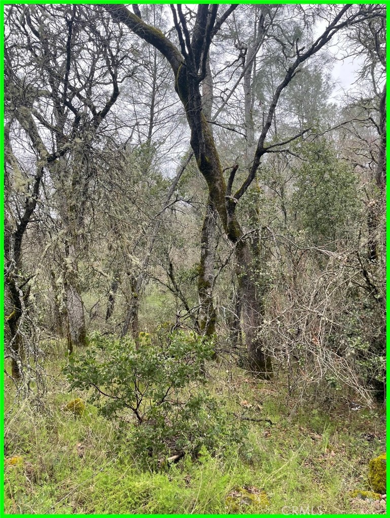 15652 Highland Avenue