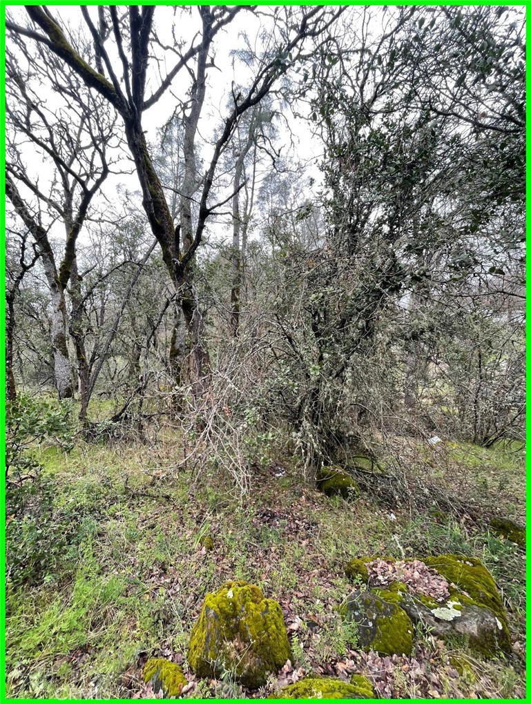 15652 Highland Avenue