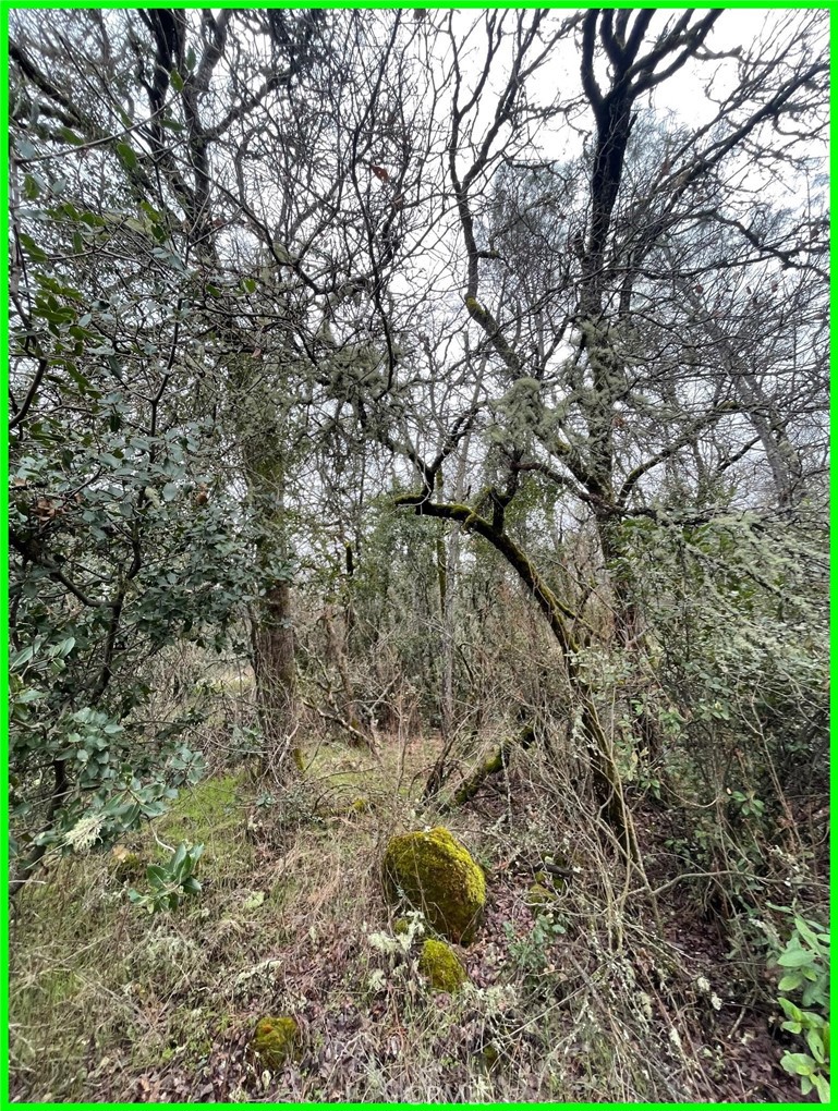 15652 Highland Avenue