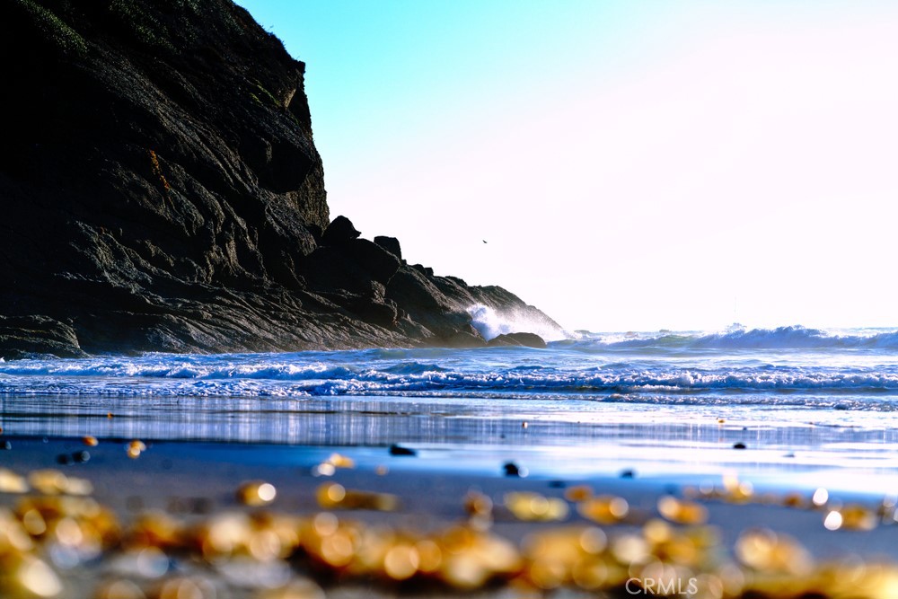 Ritz Cove (RC) - Residential Lease