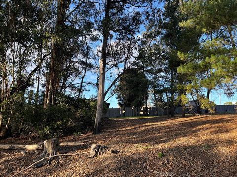 Tiny photo for 1985 Wilton Drive, Cambria, CA 93428 (MLS # SC25263146)