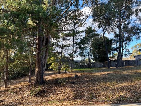 Tiny photo for 1985 Wilton Drive, Cambria, CA 93428 (MLS # SC25263146)
