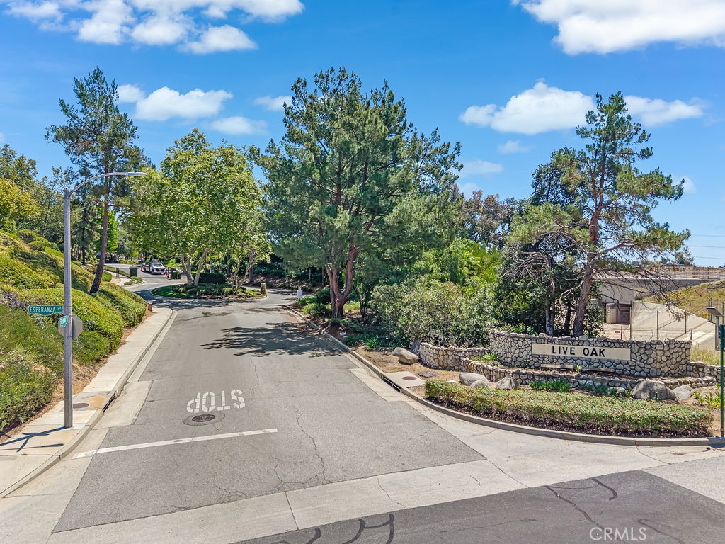3246 Barn Owl Way