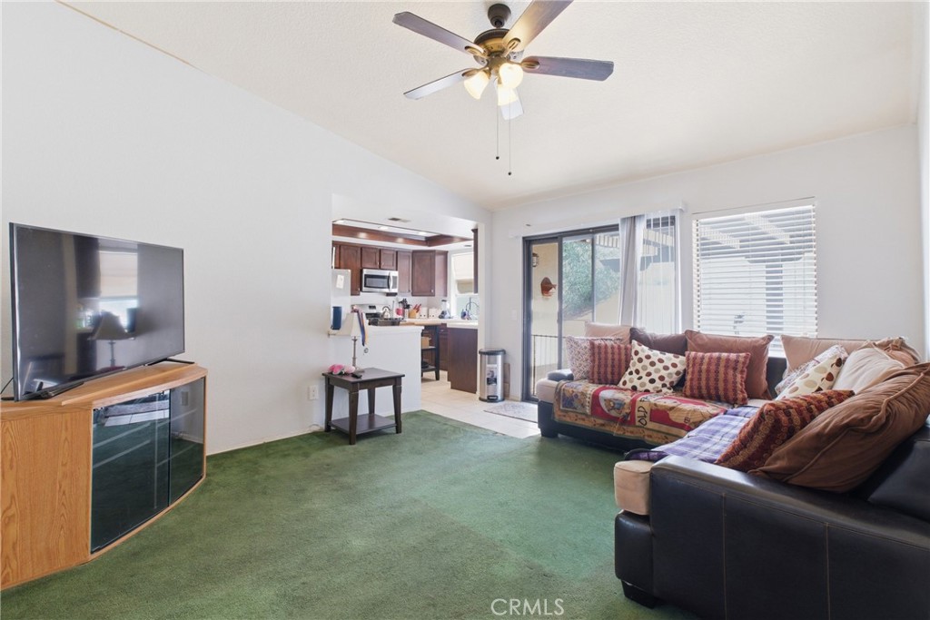 23886 Pine Field