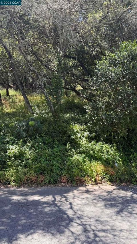 Photo of Orinda, CA 94563 (MLS # 41136847)