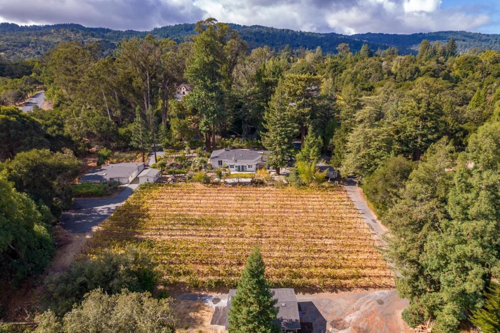 On the corner of "Wall Street West" Sand Hill Road ( Venture Capital firms ) 3 level acres Prime Central Woodside with a very nice single level Ranch home and accessory structures. Pinot and Merlot wine vineyards which can be easily removed for a larger yard. Very convenient location near central town and commuting. Excellent Schools. Surrounded by larger estates of much higher value.