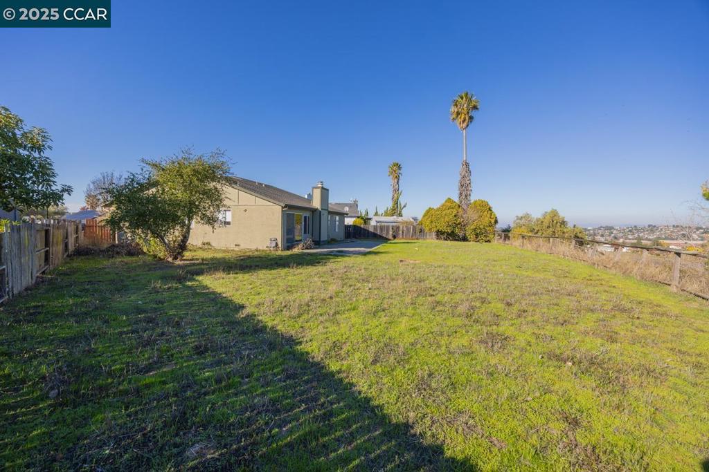 THE BIRDS - Residential