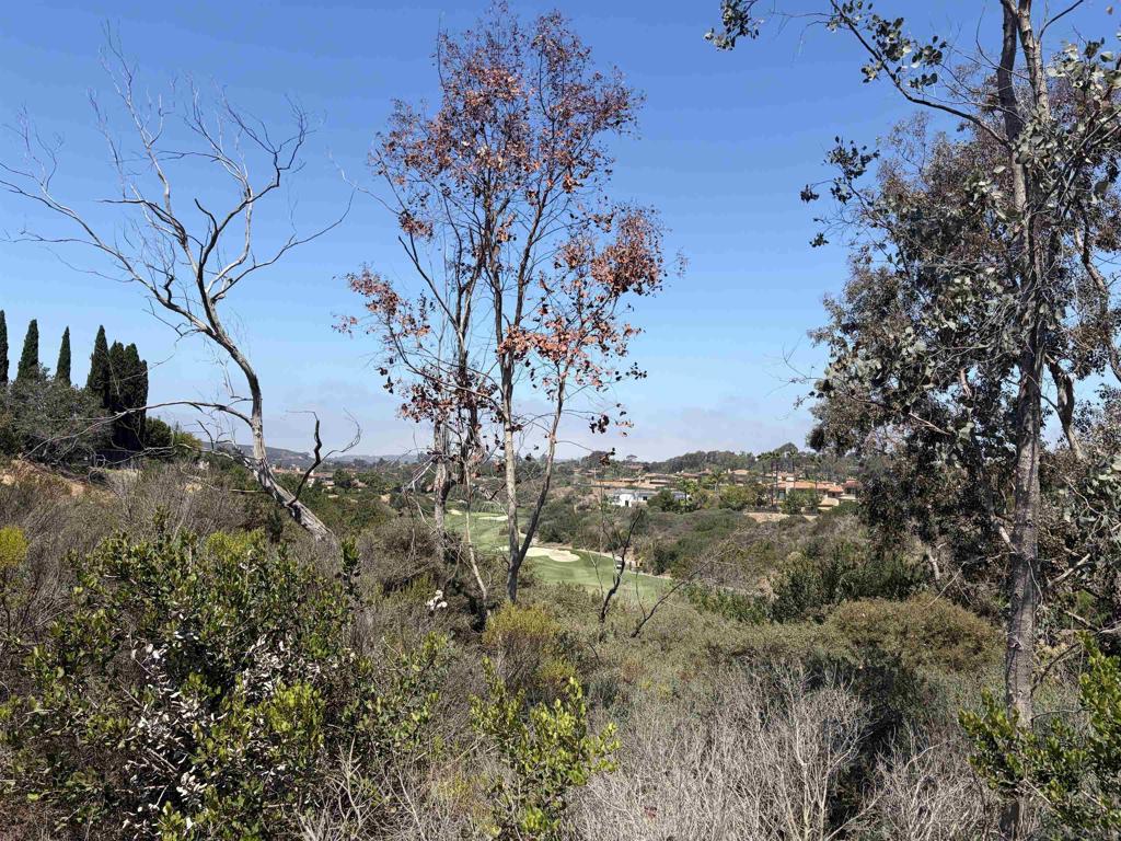 5591 Meadows Del Mar
