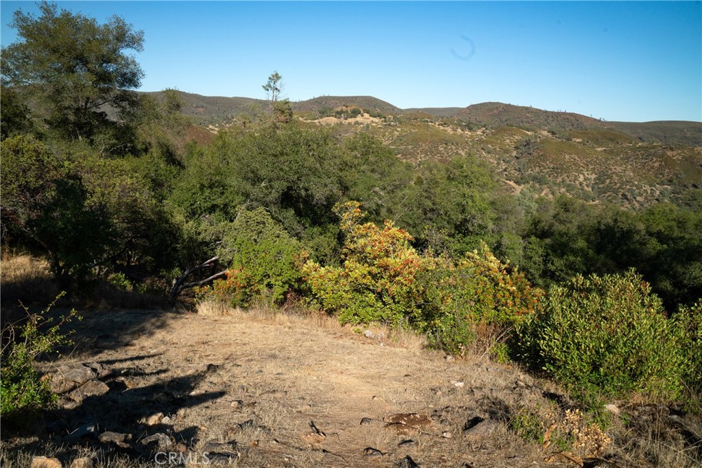 408 Wagon Wheel Court