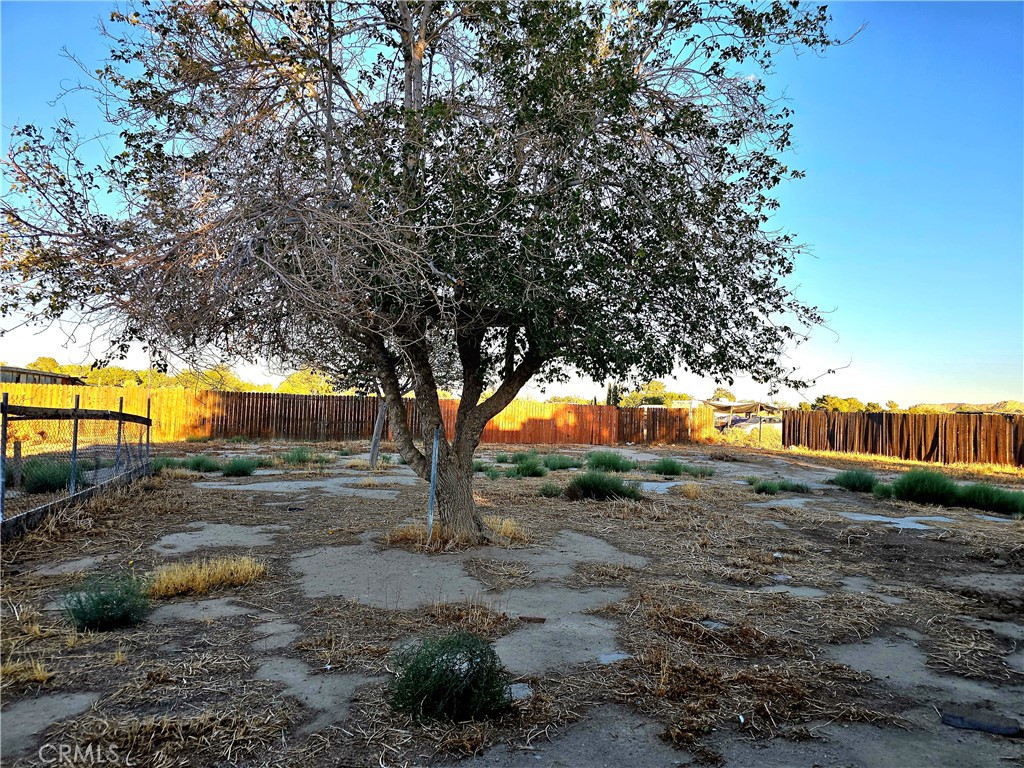 Well-Maintained Ranch Style 3-Bedroom, 2-Bathroom Home with tile floor and nice an modern kitchen in on almost 1 Acre lot. This is very desirable Antelope Valley, very tranquil, private with a big outdoor space, with some trees. 3 generously sized bedrooms and a 2 renovated and spacious bathrooms, this home is ideal for families, hobby farmers, or anyone seeking a peaceful retreat with room to grow. The current owners have lovingly maintained the property, ensuring that it is in excellent condition throughout. The layout includes a formal living room, perfect for hosting guests, a nice and big backyard, making it ideal for indoor-outdoor living. All bedrooms are spacious, offering plenty of room for family members or guests. Outside, the property is fully fenced providing security and privacy. For animal lovers or hobby farmers. With access to both an independent well and the local community water district, the property offers flexible and reliable water options. The well-maintained grounds provide plenty of space for gardening, animals, or outdoor activities. Located in a peaceful area with access to local schools, this home is a rare find—move-in ready