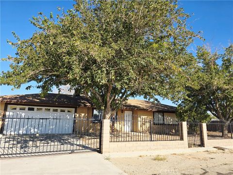 Photo of 41042 163rd St E St, Lancaster, CA 95535 (MLS # SR25215270)