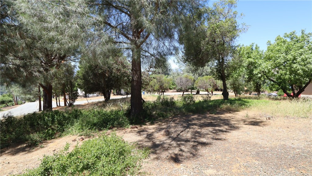 6940 Grande Vista Drive