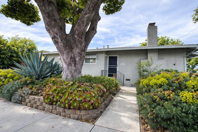 1090 White Drive