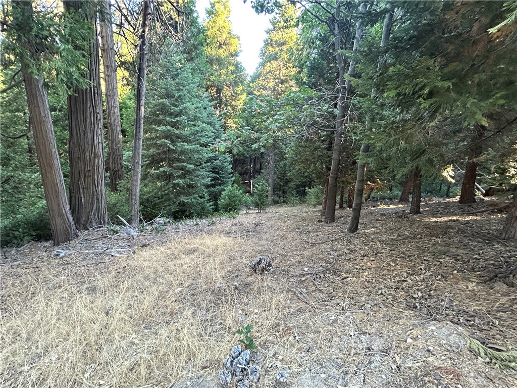 Arrowhead Woods (AWHW) - Land
