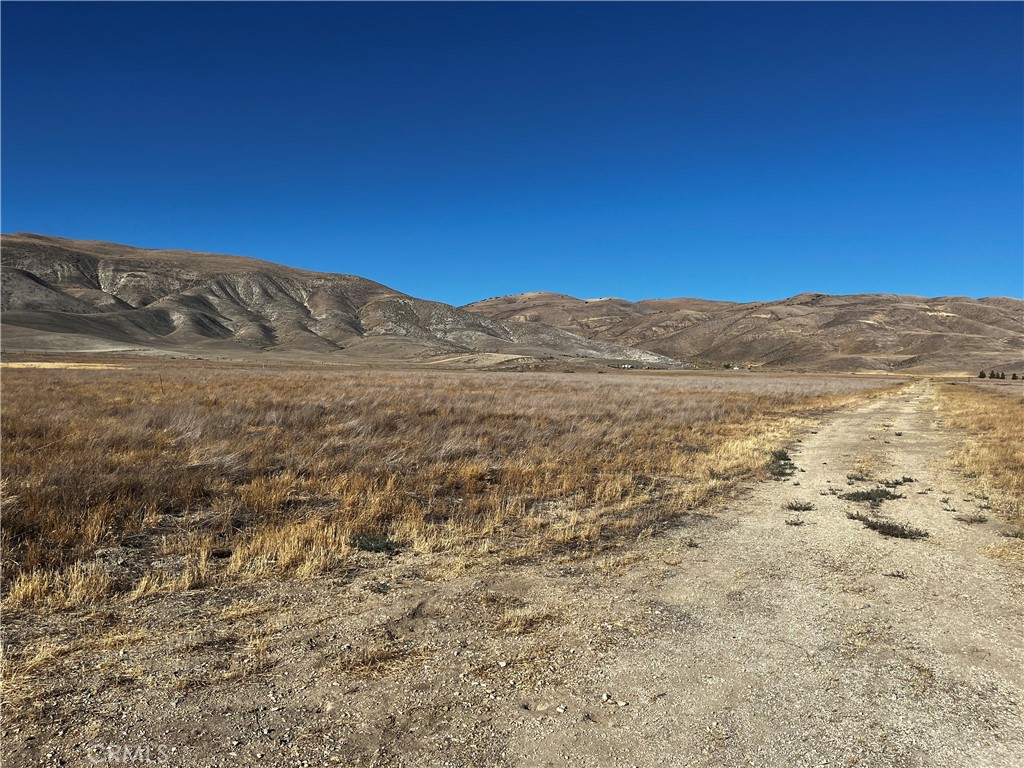 Carrizo Plains/California Valley(62) - Land