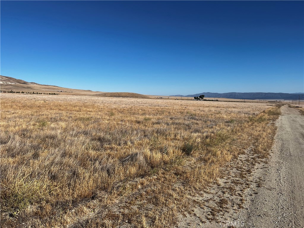 Carrizo Plains/California Valley(62) - Land