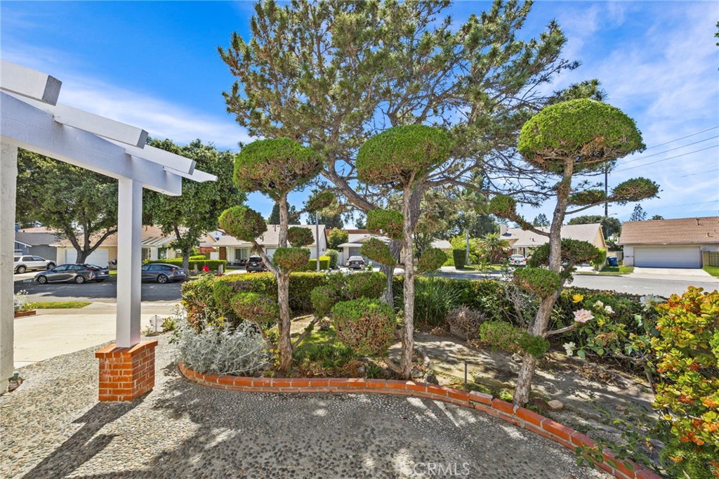 19518 Nancy Cir.