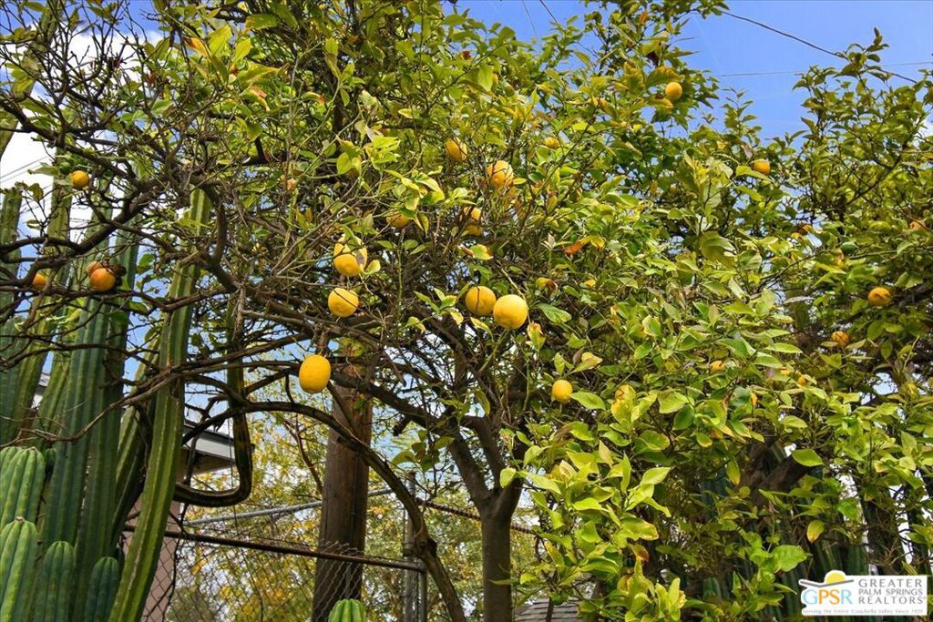 Not in a Development - Residential