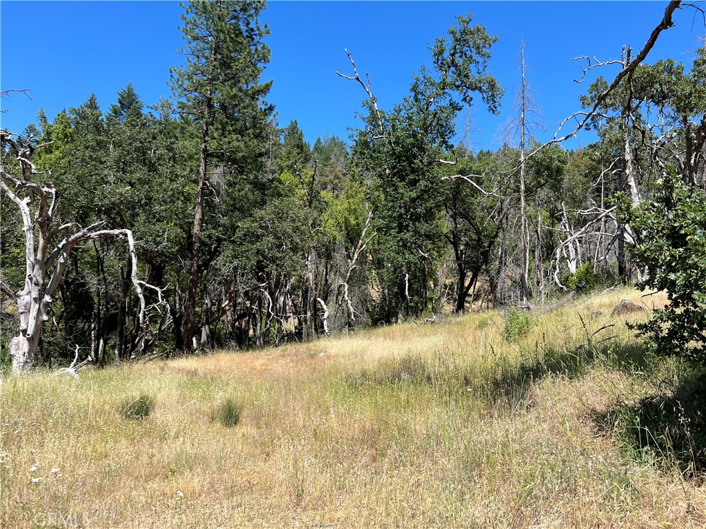 A Wilderness Retreat: 28+ Acres in Lake County
An exceptional opportunity to own a private mountain retreat on this beautiful 28+ acre parcel, just across the Lake County line (access from Mendocino side) and near to National Forest land. This property is a true haven for outdoor enthusiasts and those seeking profound tranquility.
A large, sun-drenched meadow at the top of the property overlooks a year-round tributary of Bucknell Creek, which gracefully flows through the property, providing a soothing natural soundtrack and a vital water source for local wildlife.
Whether your dream is to create a rustic hunting cabin, a luxurious off-grid escape, or simply marvel at the forest around you, this property offers the canvas. It's a rare chance to develop your own private mountain sanctuary, where you can truly escape the everyday and immerse yourself in the natural world.