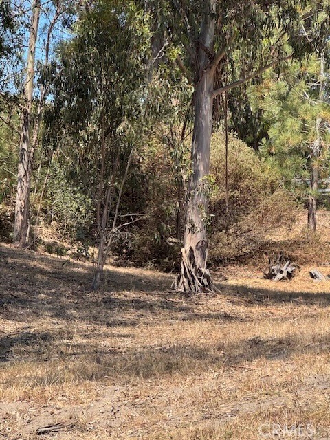 Are you waiting and dreaming of the perfect land to start your dream home? This 2.5 acres is an amazing property, surrounded by privacy and among beautiful homes. The land is just off the street and with in minutes from downtown Arroyo Grande. Wait and dream NO longer! Hurry drive by and call me or your favorite Realtor for more information.