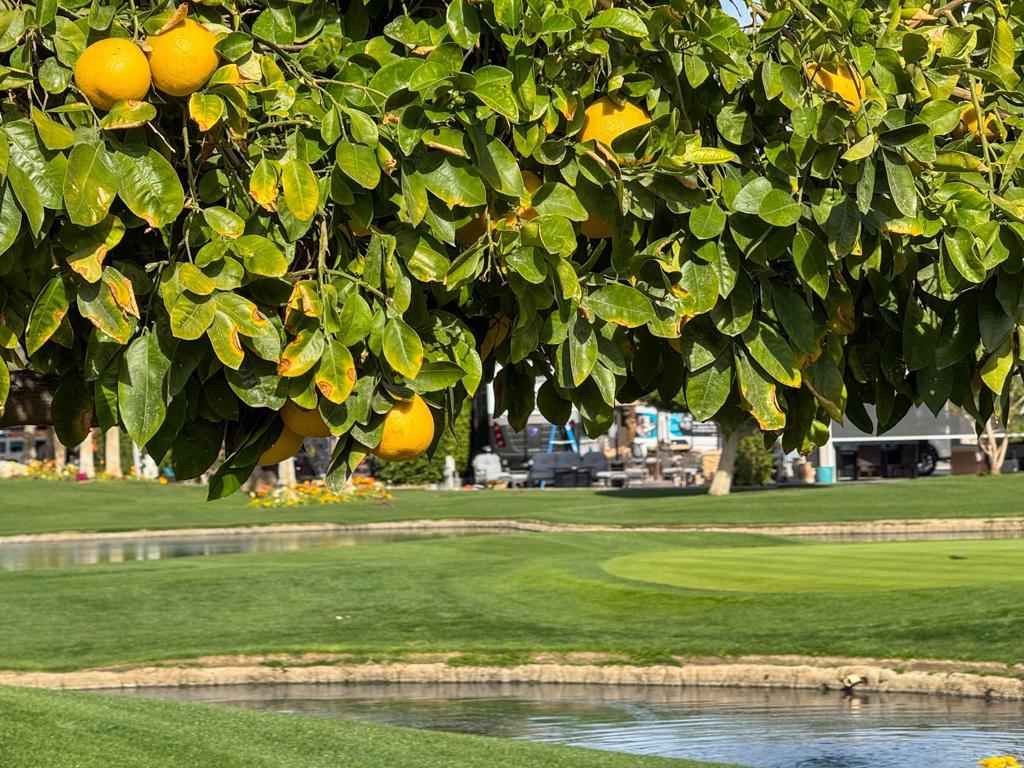 Outdoor Resorts CC - Residential