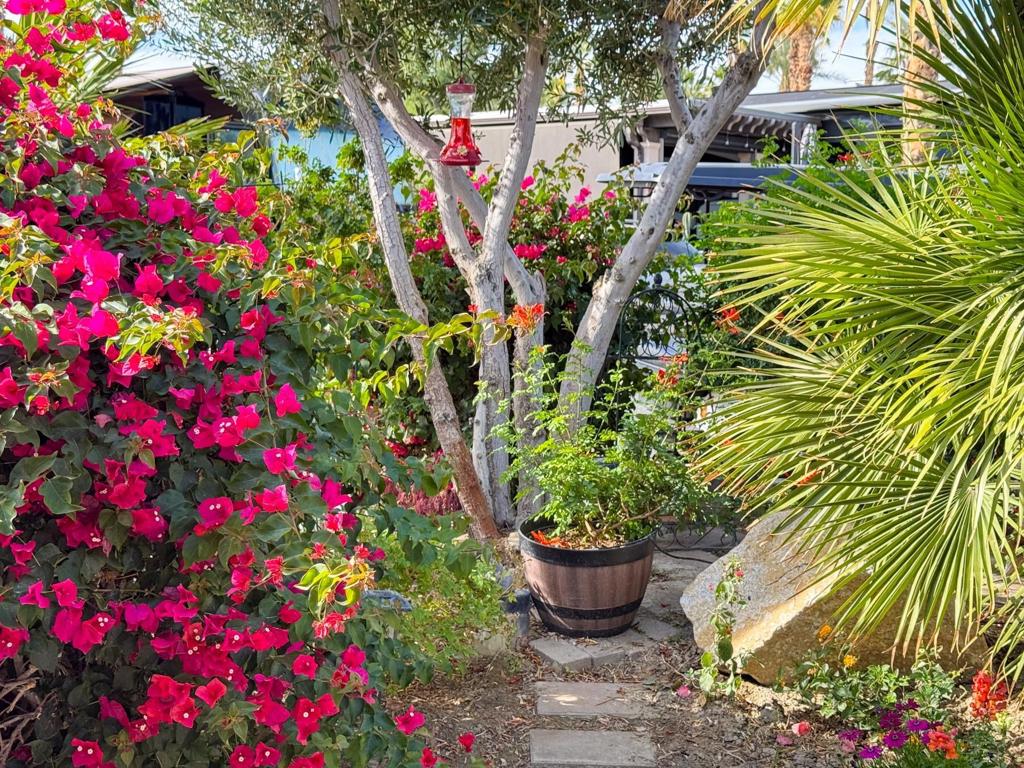 Outdoor Resorts CC - Residential