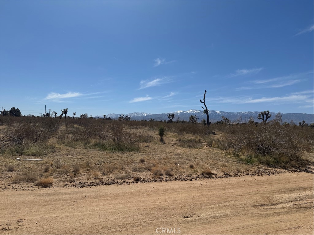 WONDERFUL LAND 9.55ACRES WATER AND ELECTRICTY ON THE SIDE OF THE STREET ,CAN BE SUBDIVIDED
ADJACENT LAND OF 8.97 ACRES ALSO AVAILABLE CAN BE SOLD SEPARATE OR BOTH ON ONE SALE
IMAGINE MORE THAN 18 ACRES ON ONE PLACE
DRIVE BY ANYTIME
HUGE REDUCTION!! SELLER WIL REVIEW ALL OFFERS!!