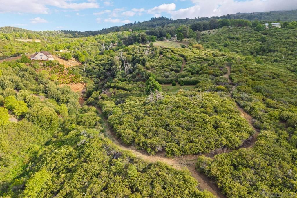 listing image 130722778600520100166